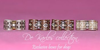 Set Puppy bows Brown 23