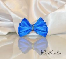 Show bows 1318