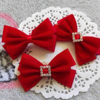 Vintage Show bows for yorkie Violetta&Velvet