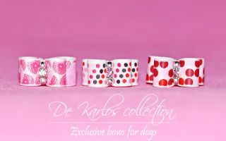 Set Puppy bows Pink 1