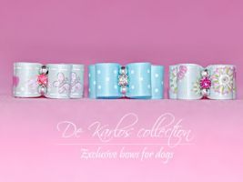 Set Puppy bows Blue 25